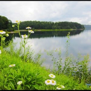 Meet your Posher, Ana